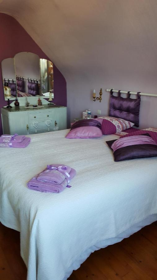 Au Berceau Du Loup Agile Bed & Breakfast Offendorf Luaran gambar